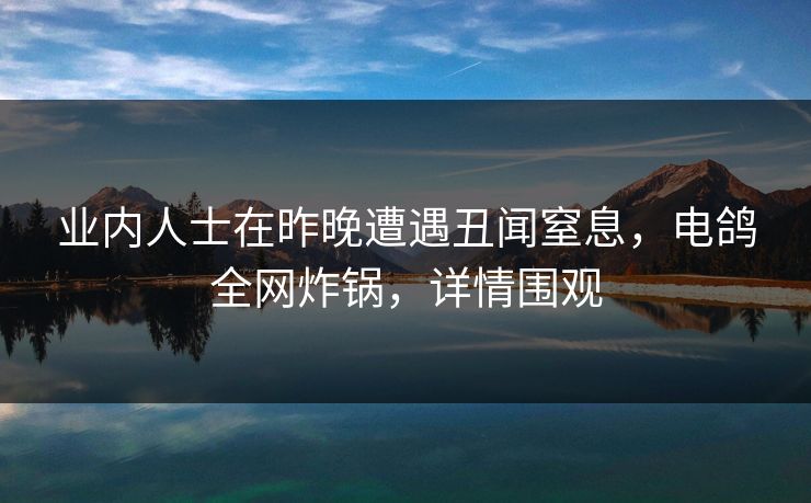 业内人士在昨晚遭遇丑闻窒息，电鸽全网炸锅，详情围观