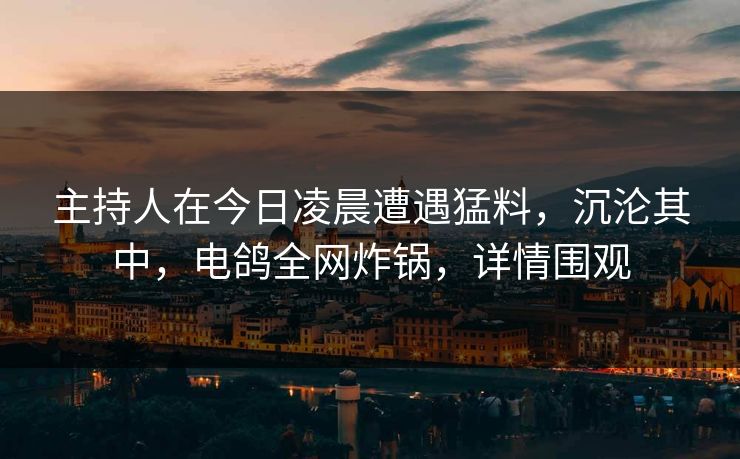 主持人在今日凌晨遭遇猛料，沉沦其中，电鸽全网炸锅，详情围观