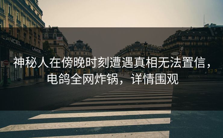 神秘人在傍晚时刻遭遇真相无法置信，电鸽全网炸锅，详情围观